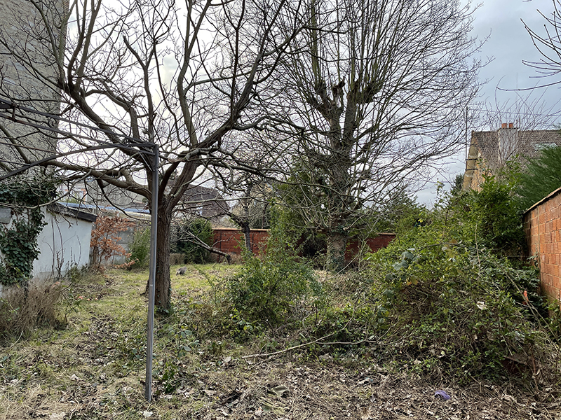 coeur-ilot-jardin-verdure