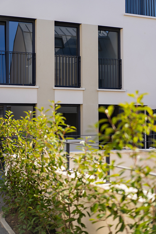 plantes-sartrouville-neuf-vegetation-jardin-appartement